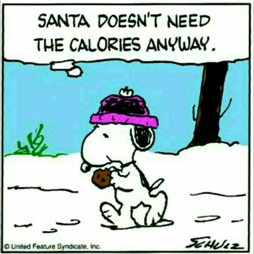 42cdb41956ca08e0f254186f37589d4a