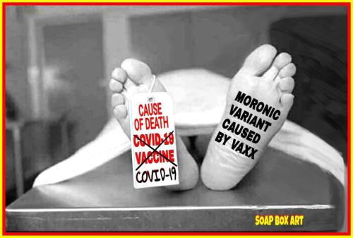 IMG_20211212_180246_282