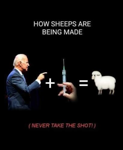 FB_IMG_1640269549543