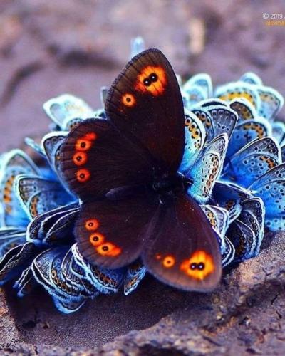 269976129_481821006654911_3521290934838476463_n