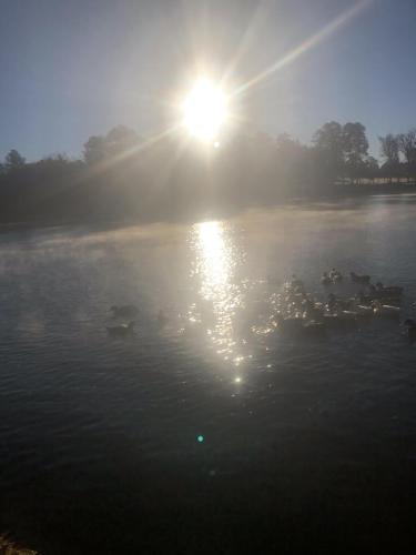 59AF0EDB-0BB0-44D7-90EB-BAAE701EFCB5