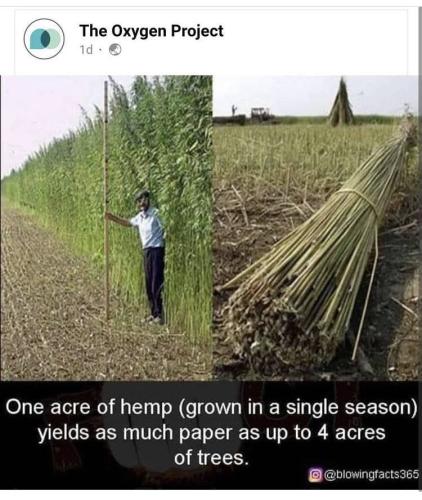 photo_2021-12-20_10-23-55