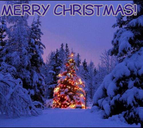 image_1640431192.756