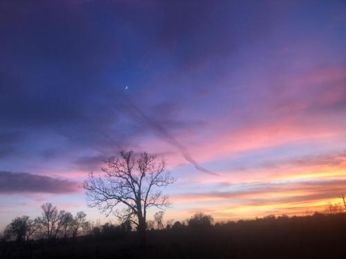 F021684E-9A27-4528-9FBD-F7A21A09EE31