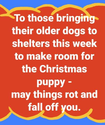 FB_IMG_1638193153253