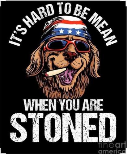 FB_IMG_1639365591288