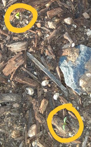 17:07:04 GMT-0700 (MST)