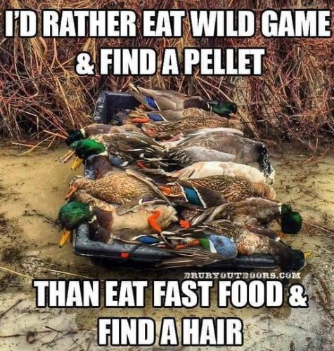 wild game