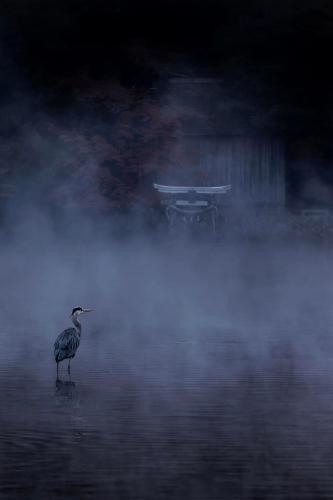 267768754_2354099028060511_4378051453185591305_n