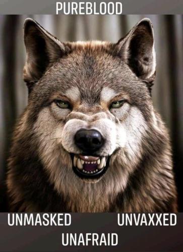 23:22:15 GMT-0800 (PST).image