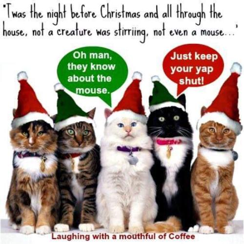 FB_IMG_1640719244655