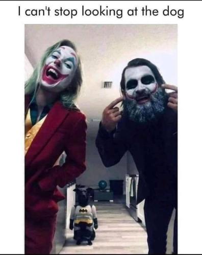 264811511_4908878525845259_4157868192638517265_n