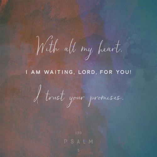 11:18:20 GMT-0800