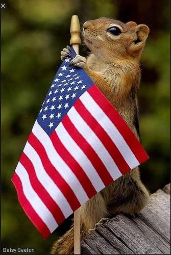 11:00:59 GMT-0500 (EST)