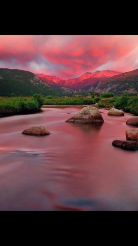 Screenshot_20211118-180722_Wimkin Uncensored