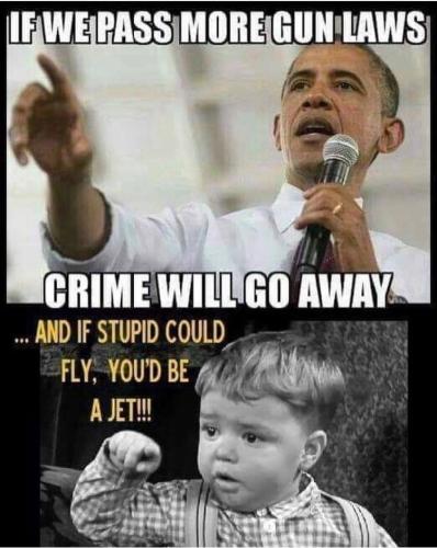 46513582_10155525400671595_6053609060563943424_n