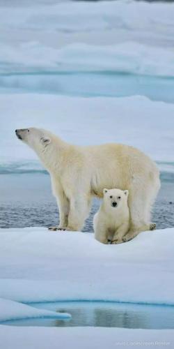 tumblr_32cf330c0304cb319088721079abb080_85c3644a_1280