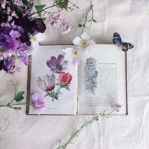 269740908_6937070259651569_472866486764458131_n