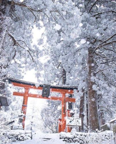 267577463_453161069513234_16795706743985089_n