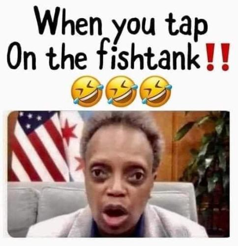 269591136_6632706913468107_2373020870494430897_n