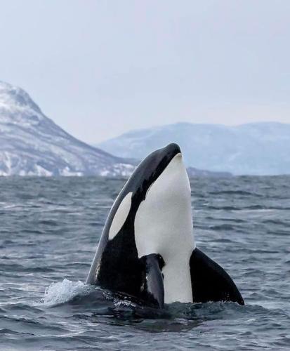 262848502_465769554987942_3238294027769501009_n