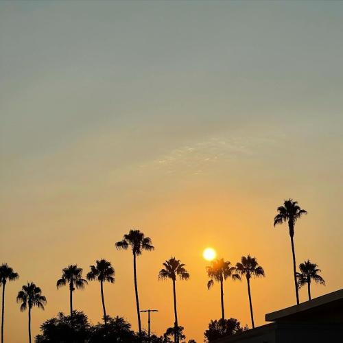 02:20:50 GMT+0100 (WAT)