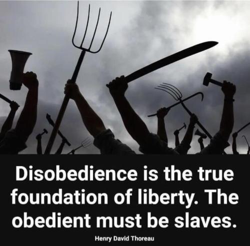 disobediance_America_fuck_Biden (2)