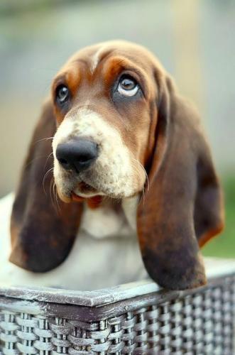 tumblr_mtavc3d9Ej1qci0gro1_500