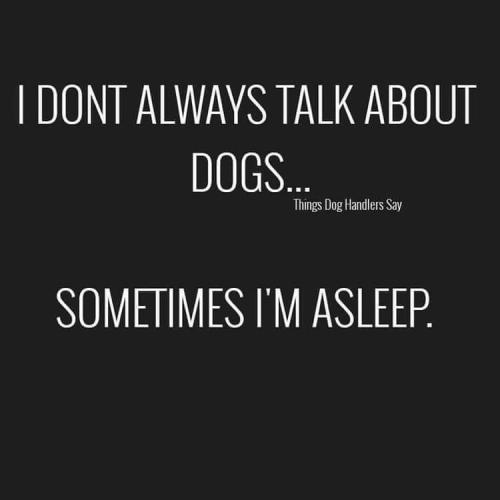 FB_IMG_1640719265315