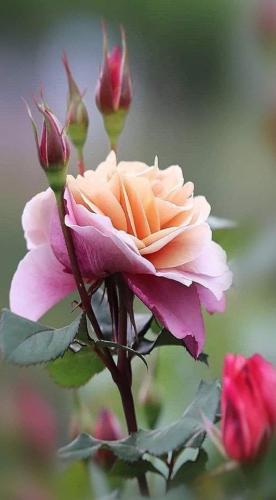 13:59:43 GMT-0600 (CST)