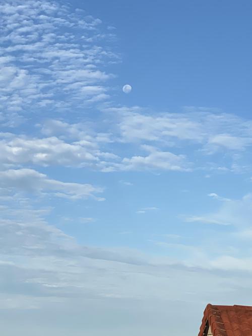 EA7115AD-F4D5-4644-A65A-493E43393D3A