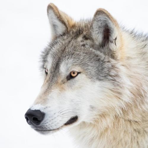 tumblr_2b0611cb81587ae345f4cd0cb6a9d0dd_e4341134_540