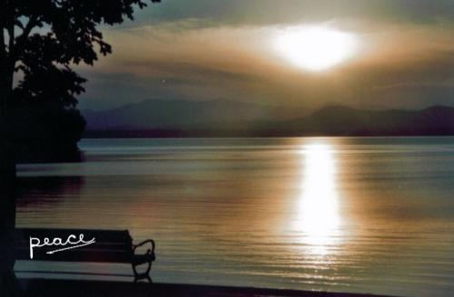 Screenshot_20211206-071916_DuckDuckGo