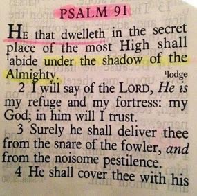 D39A9453-F443-42E5-956D-FD0EE35A9998