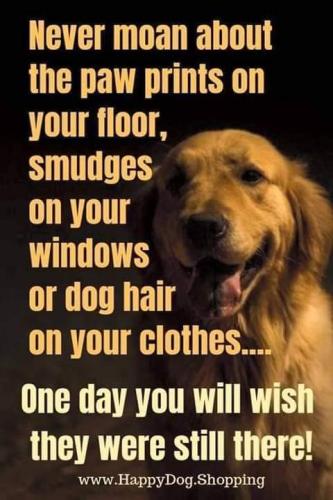 FB_IMG_1638583211114