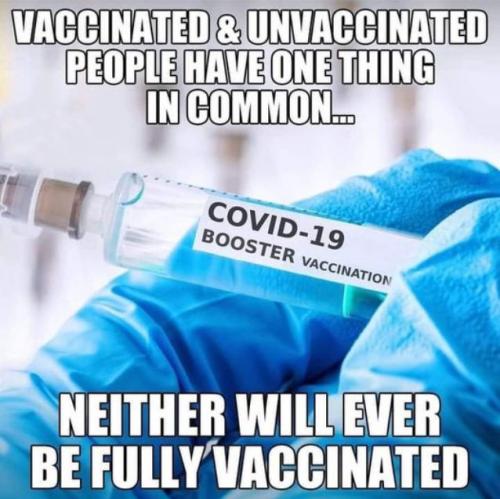 vaccine481