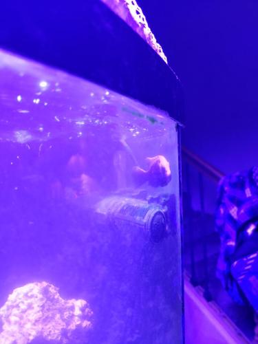 20211229_184649_HDR