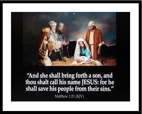 and she shall bring forth a son