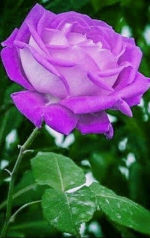 07:35:01 GMT-0600 (CST)