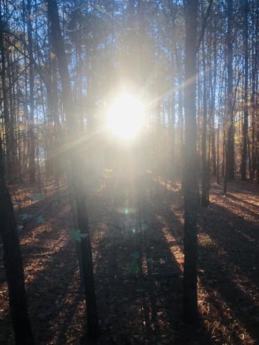 996BA145-66BE-4C94-AD6F-8C47D888867B