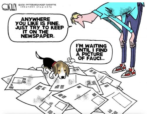 20:38:20 GMT-0600 (CST)