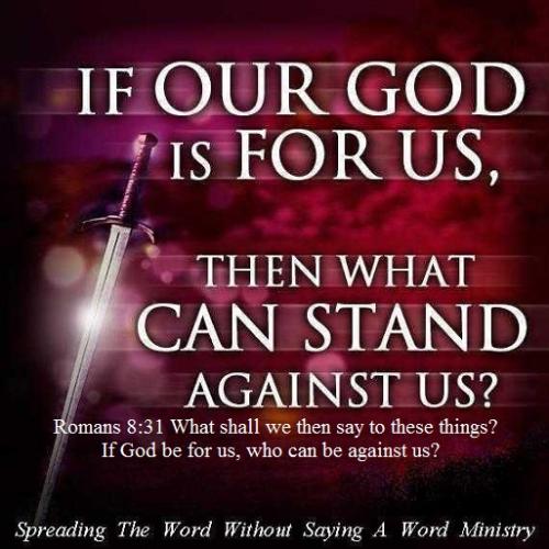 552457_385135318235272_1277941088_n