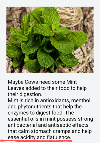 Screenshot_20211229-001633-255~2