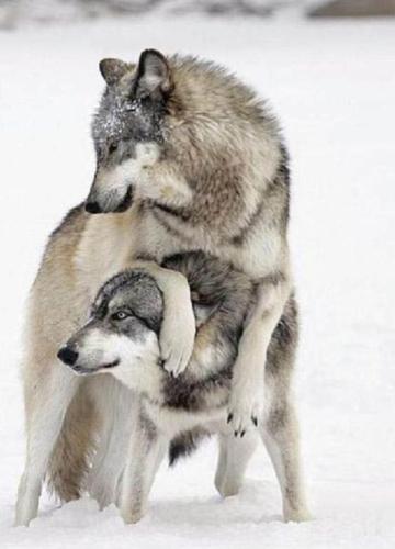 c7597d51abb09cc112e14bb183d4813a