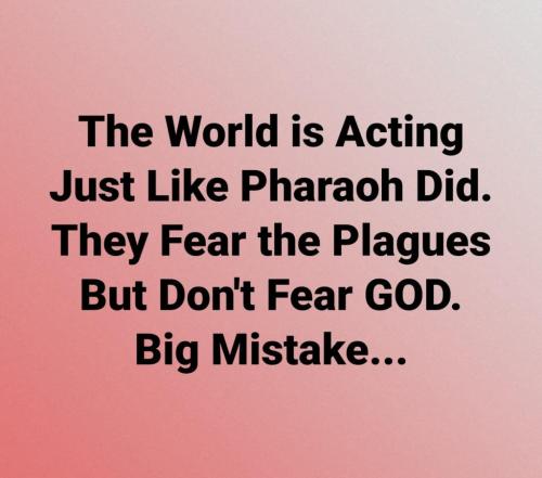 242149823_278693117589604_761323719100029974_n