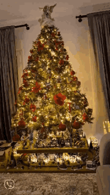 invista-christmas-tree
