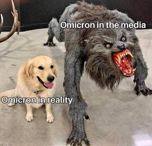 FB_IMG_1640601183994