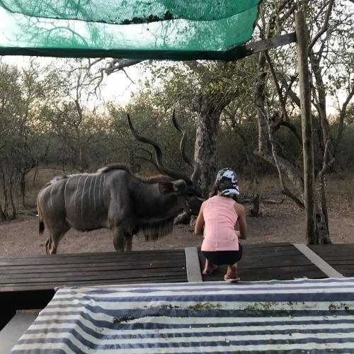 36178426-B7B4-4C7E-9A3E-F02D3A755485