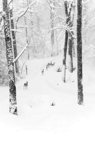 tumblr_me2inbV6lN1rig7vyo1_540