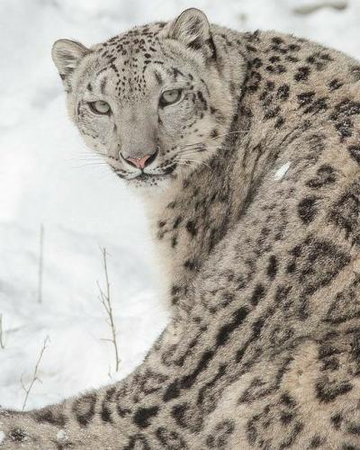 263971089_470289641141381_5876830073234925107_n